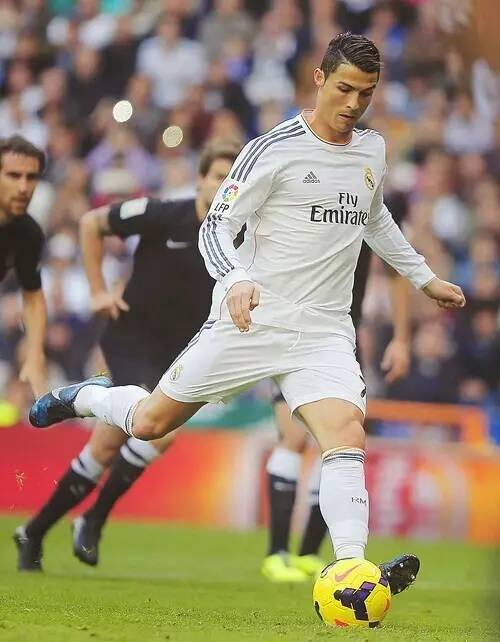 也促进了不 也促进了不